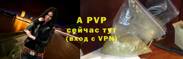 гашик Алексеевка